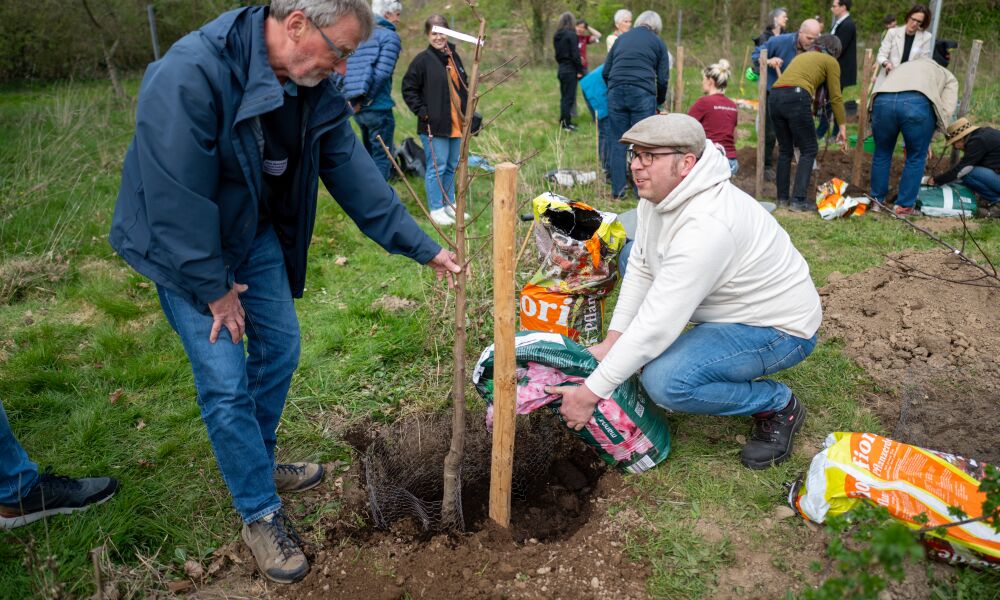 © Stadt Freiburg/Patrick Seeger