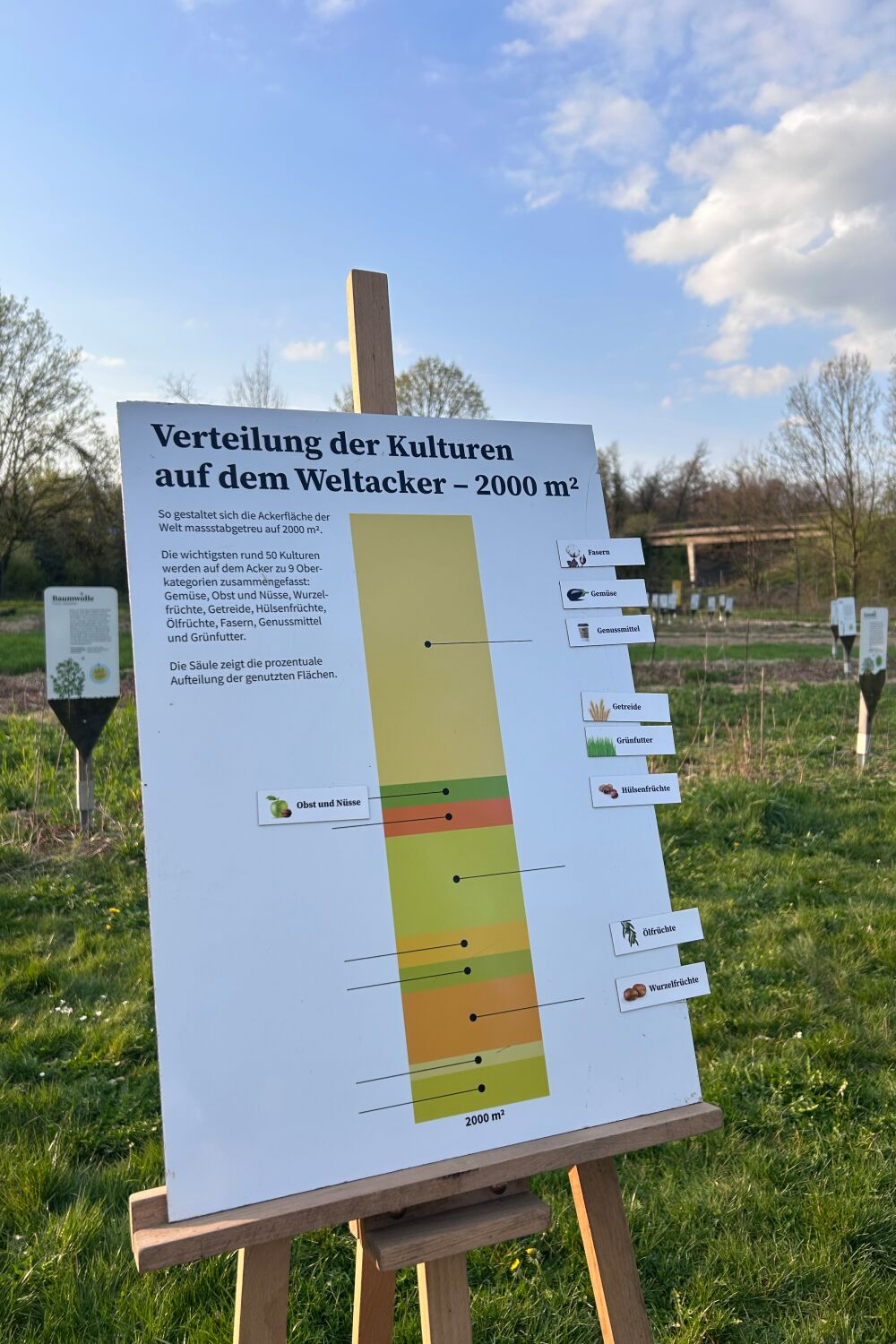 © Stadt Freiburg/Nelly Kirsch