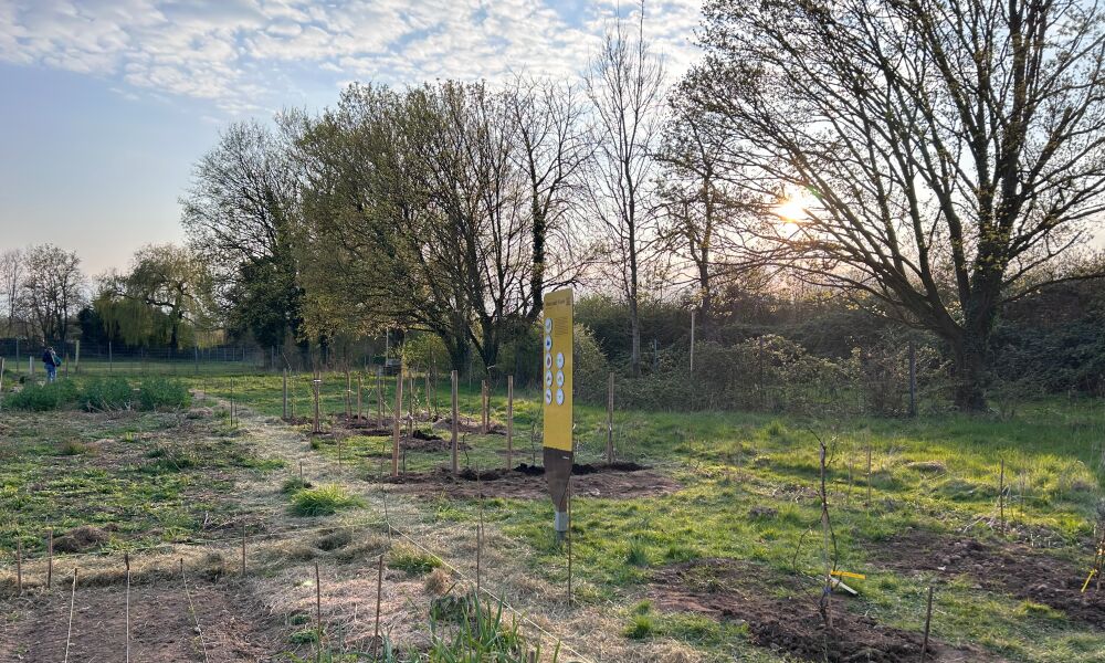 © Stadt Freiburg/Nelly Kirsch